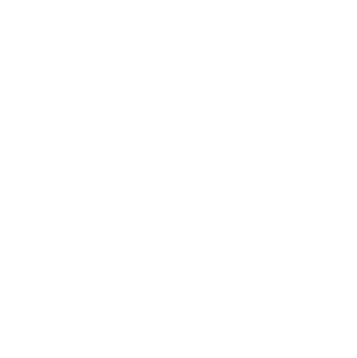 consultantmedium-white Consilium Consultant